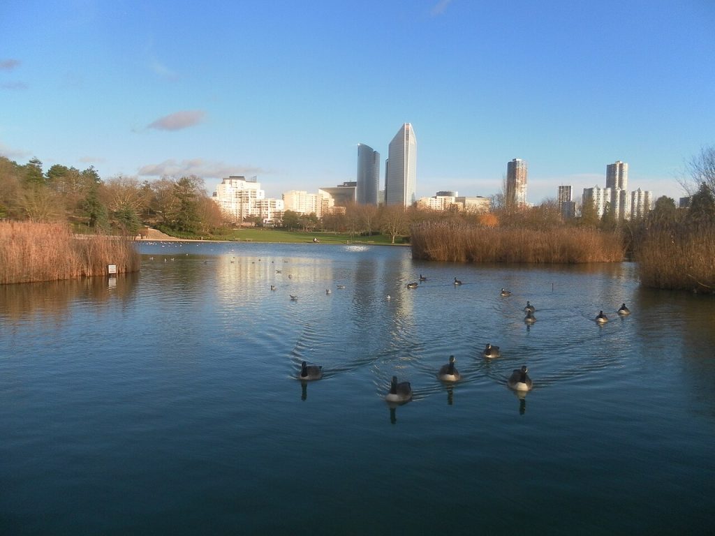 Étang du parc André-Malraux à Nanterre, tours de La Défense à l'horizon (Nanterre)